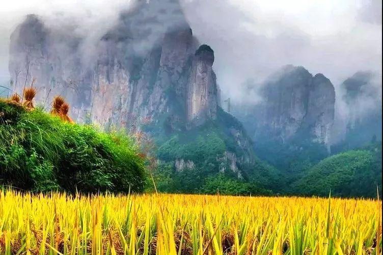 小猫钓鱼游戏龙王版有船