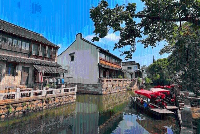 动物帮帮忙保卫家园